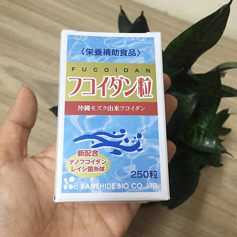 Thực Phẩm Bảo Vệ Sức Khỏe, Thảo Dược Chính Hãng | Gấu Trúc Đỏ