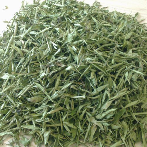 Cây cỏ ngọt cay-co-ngot
