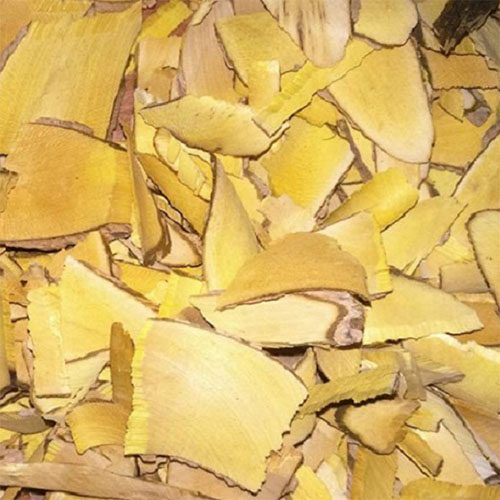 Cây Mật gấu khô cay-mat-gau-kho-105