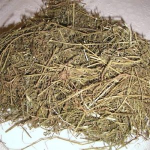 Diệp Hạ Châu (Khô)