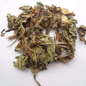 Bồ Công Anh (Khô)