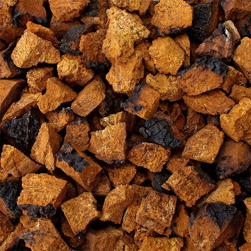 nam-chaga-105 nam-chaga-105