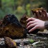 nam-chaga-b105 nam-chaga-b105