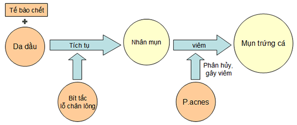 nguyen-nhan-gay-mun-2606