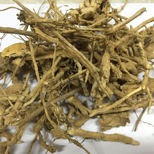 Rễ cà gai leo khô re-ca-gai-leo-kho-95