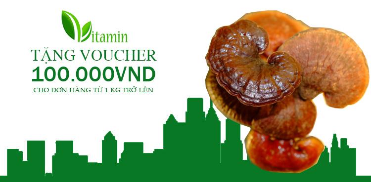 voucher-nam-lim-xanh-117