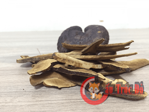 nam-lim-xanh-xat-lat-quang-nam4 nam-lim-xanh-xat-lat-quang-nam4