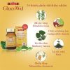 Glucowel 1