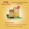 Glucowel 2