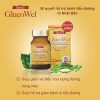 Glucowel 3