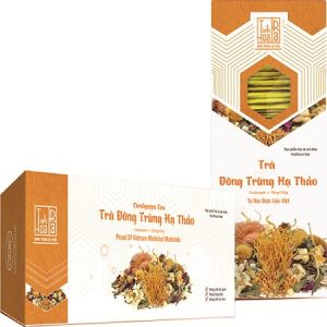 Trà đông trùng hạ thảo VQC Group dạng túi lọc hộp 24 gói