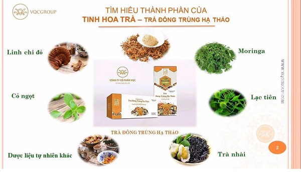 Thành phần trà đông trùng hạ thảo