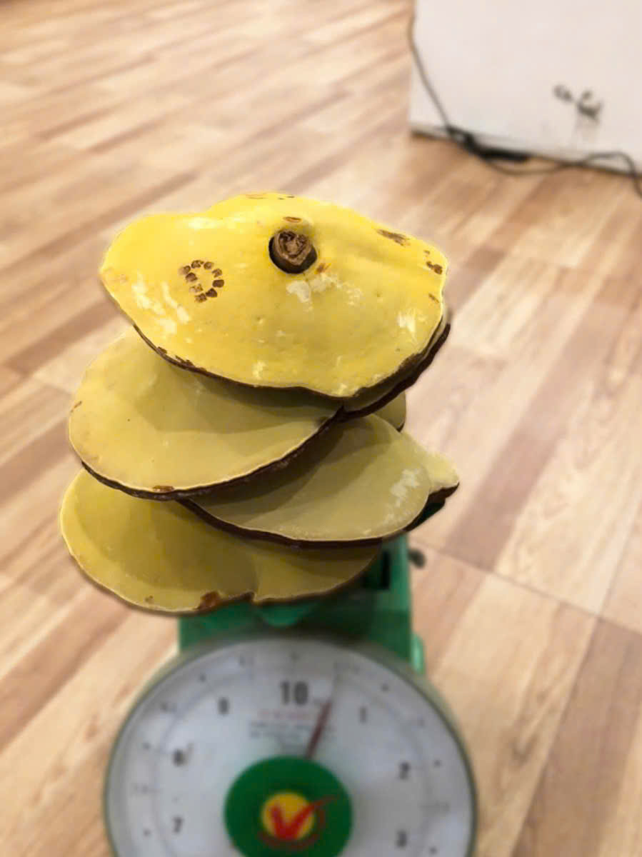 z6095884123780_c1bfcd098e80a3b0d0ca6a439815f070