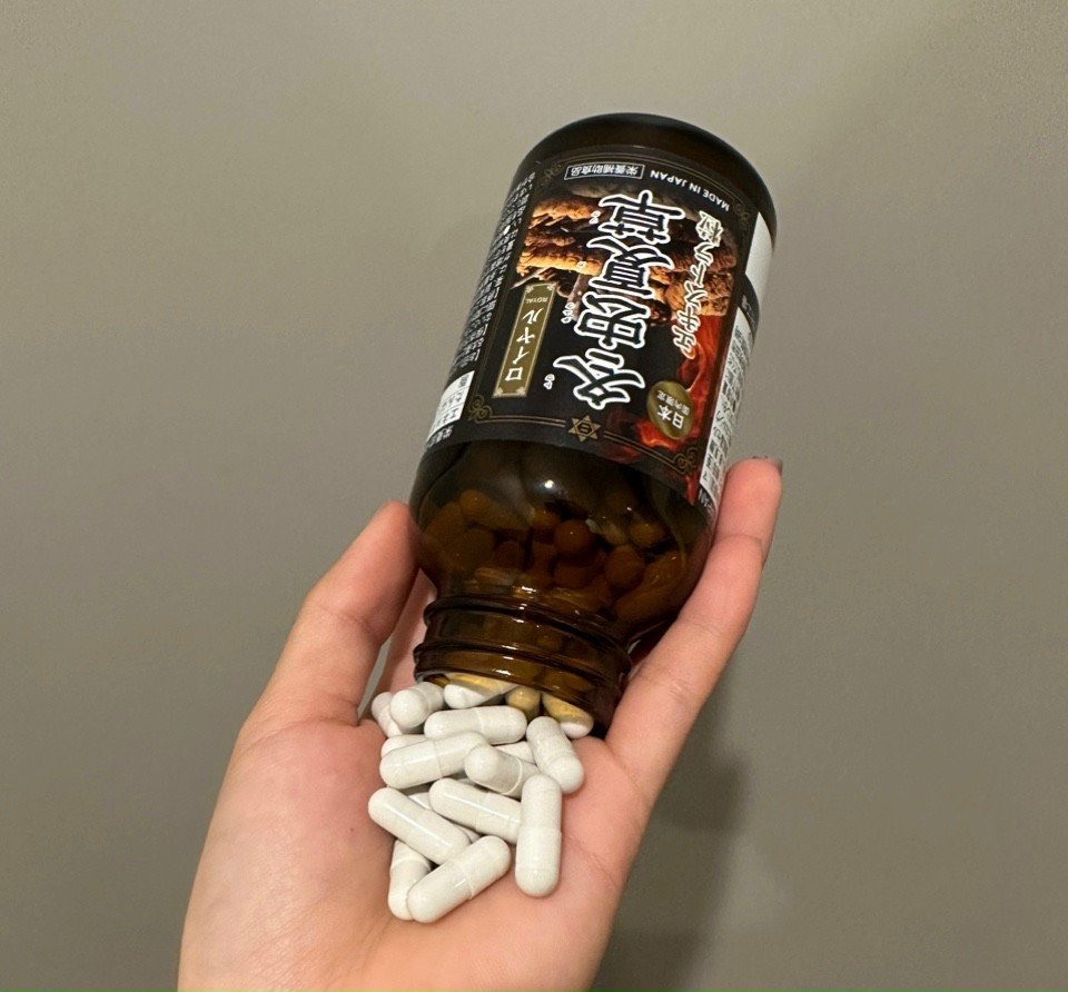 dong trung ha thao Gia Royal Nichiei Bussan 120v