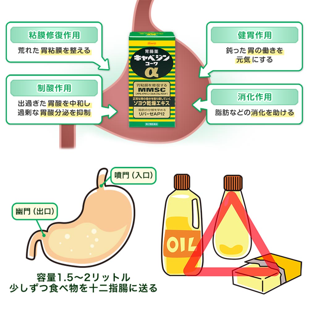 ho-dieu-tri-da-day-kowa-alpha-mmsc-300-vien-(2)