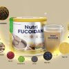 thành-phần-nutri-web